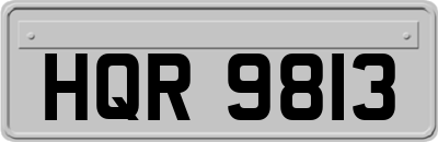 HQR9813