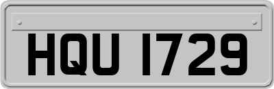 HQU1729