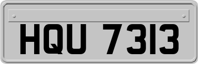 HQU7313