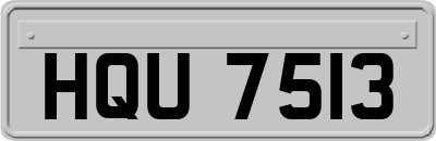 HQU7513