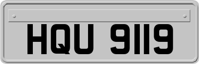 HQU9119