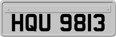 HQU9813