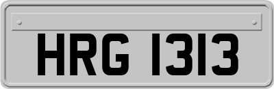 HRG1313