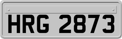 HRG2873