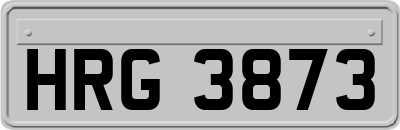 HRG3873