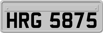 HRG5875