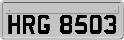 HRG8503