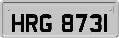 HRG8731