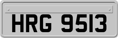 HRG9513