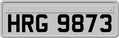 HRG9873