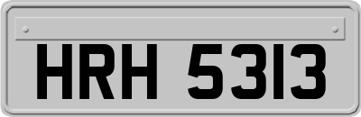 HRH5313