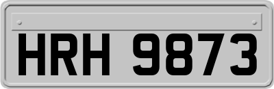HRH9873