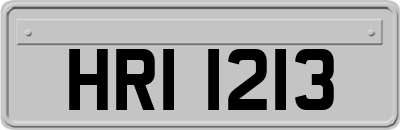 HRI1213