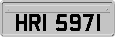 HRI5971