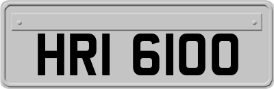 HRI6100
