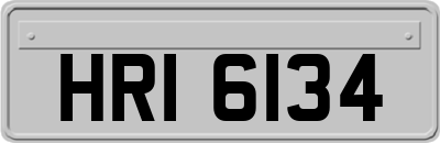 HRI6134