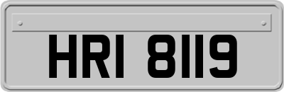 HRI8119