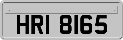 HRI8165
