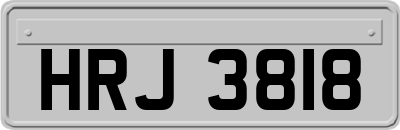HRJ3818