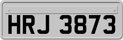 HRJ3873