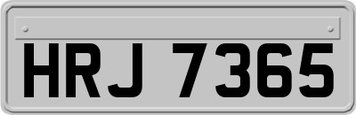 HRJ7365