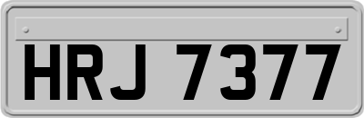 HRJ7377