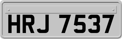 HRJ7537