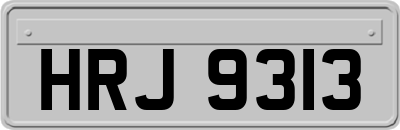 HRJ9313