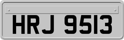 HRJ9513