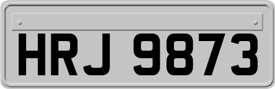 HRJ9873