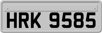 HRK9585