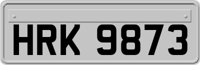 HRK9873