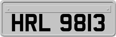 HRL9813