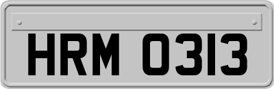HRM0313