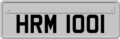 HRM1001