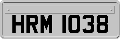 HRM1038