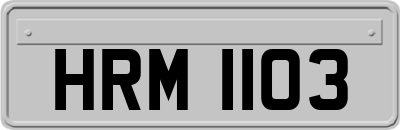 HRM1103