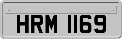 HRM1169