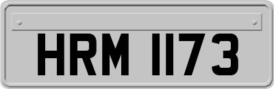 HRM1173