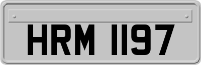 HRM1197