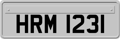 HRM1231
