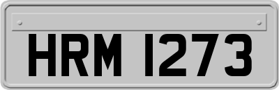 HRM1273