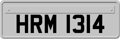 HRM1314