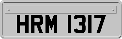HRM1317