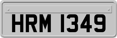HRM1349
