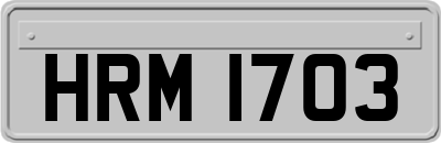 HRM1703