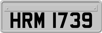 HRM1739