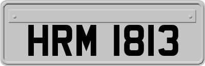 HRM1813