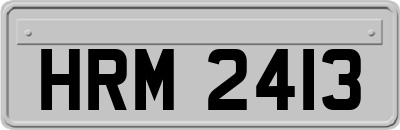 HRM2413