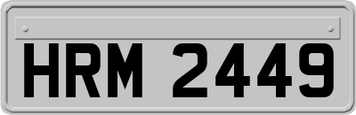HRM2449